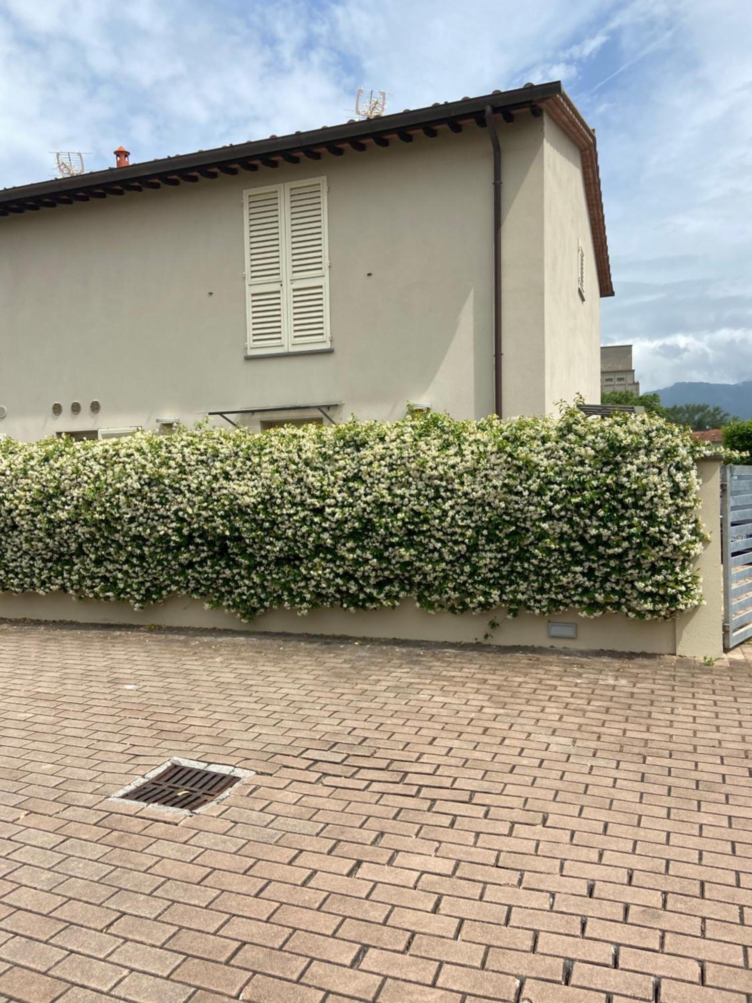 Villa Casa Ariel Lucca Exterior foto